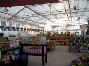 We use this time to decide on the layout of the garden center. Do the same with your garden and landscape!